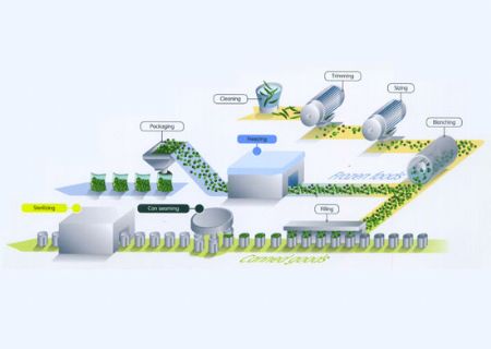 點(diǎn)擊查看詳細(xì)信息<br>標(biāo)題：水果和蔬菜加工潤滑油 閱讀次數(shù)：7111