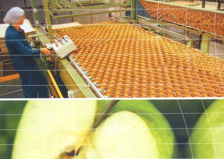 點(diǎn)擊查看詳細(xì)信息<br>標(biāo)題：NEVASTANE潤滑油 閱讀次數(shù)：7312